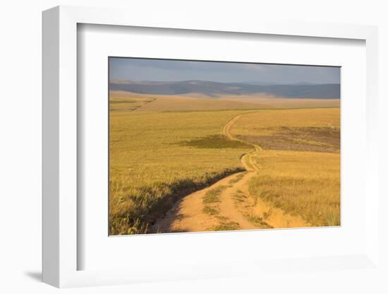 Dusty Road Leading Through the Nyika National Park, Malawi, Africa-Michael Runkel-Framed Photographic Print