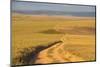 Dusty Road Leading Through the Nyika National Park, Malawi, Africa-Michael Runkel-Mounted Photographic Print