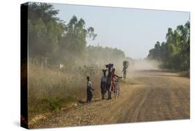 Dusty Road, Mount Mulanje, Malawi, Africa-Michael Runkel-Stretched Canvas