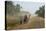 Dusty Road, Mount Mulanje, Malawi, Africa-Michael Runkel-Stretched Canvas