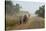 Dusty Road, Mount Mulanje, Malawi, Africa-Michael Runkel-Stretched Canvas