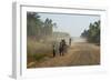 Dusty Road, Mount Mulanje, Malawi, Africa-Michael Runkel-Framed Photographic Print