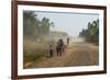 Dusty Road, Mount Mulanje, Malawi, Africa-Michael Runkel-Framed Photographic Print