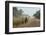 Dusty Road, Mount Mulanje, Malawi, Africa-Michael Runkel-Framed Photographic Print