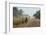 Dusty Road, Mount Mulanje, Malawi, Africa-Michael Runkel-Framed Photographic Print