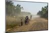 Dusty Road, Mount Mulanje, Malawi, Africa-Michael Runkel-Mounted Photographic Print