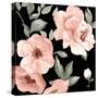 Dusty Rose on Black I-Patricia Pinto-Stretched Canvas