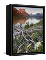Dusty Star Mountain, St. Mary Lake, and Wildflowers at Dawn, Glacier National Park, Montana, United-James Hager-Framed Stretched Canvas