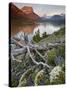 Dusty Star Mountain, St. Mary Lake, and Wildflowers at Dawn, Glacier National Park, Montana, United-James Hager-Stretched Canvas