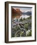 Dusty Star Mountain, St. Mary Lake, and Wildflowers at Dawn, Glacier National Park, Montana, United-James Hager-Framed Premium Photographic Print