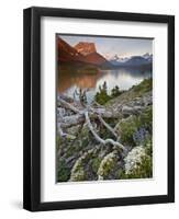 Dusty Star Mountain, St. Mary Lake, and Wildflowers at Dawn, Glacier National Park, Montana, United-James Hager-Framed Premium Photographic Print