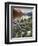 Dusty Star Mountain, St. Mary Lake, and Wildflowers at Dawn, Glacier National Park, Montana, United-James Hager-Framed Premium Photographic Print