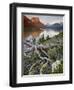 Dusty Star Mountain, St. Mary Lake, and Wildflowers at Dawn, Glacier National Park, Montana, United-James Hager-Framed Premium Photographic Print