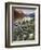 Dusty Star Mountain, St. Mary Lake, and Wildflowers at Dawn, Glacier National Park, Montana, United-James Hager-Framed Photographic Print