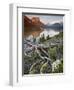 Dusty Star Mountain, St. Mary Lake, and Wildflowers at Dawn, Glacier National Park, Montana, United-James Hager-Framed Photographic Print