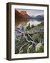 Dusty Star Mountain, St. Mary Lake, and Wildflowers at Dawn, Glacier National Park, Montana, United-James Hager-Framed Photographic Print