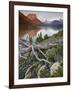 Dusty Star Mountain, St. Mary Lake, and Wildflowers at Dawn, Glacier National Park, Montana, United-James Hager-Framed Photographic Print