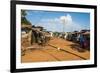 Dusty Village on the Nile Near Jinja, Uganda, East Africa, Africa-Michael-Framed Photographic Print