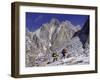 Dusy Basin, California, USA-null-Framed Photographic Print