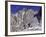 Dusy Basin, California, USA-null-Framed Photographic Print