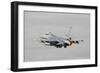 Dutch Air Force F-16Am Taking Off with Full Afterburner-Stocktrek Images-Framed Photographic Print