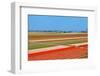 Dutch Bulb Field of Colorful Tulips near Lisse-Sandra van der Steen-Framed Photographic Print