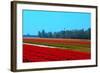 Dutch Bulb Field-Sandra van der Steen-Framed Photographic Print