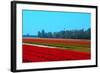 Dutch Bulb Field-Sandra van der Steen-Framed Photographic Print