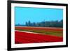 Dutch Bulb Field-Sandra van der Steen-Framed Photographic Print