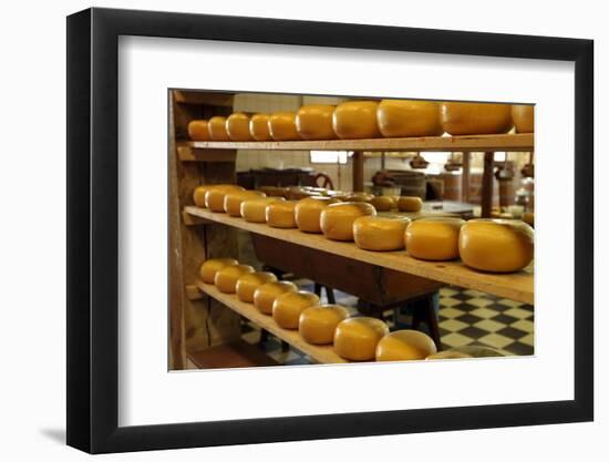 Dutch Cheese, Zaanse Schans, Zaandam Near Amsterdam, Holland (The Netherlands)-Gary Cook-Framed Photographic Print