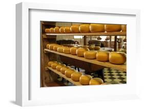 Dutch Cheese, Zaanse Schans, Zaandam Near Amsterdam, Holland (The Netherlands)-Gary Cook-Framed Photographic Print