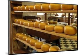 Dutch Cheese, Zaanse Schans, Zaandam Near Amsterdam, Holland (The Netherlands)-Gary Cook-Mounted Photographic Print