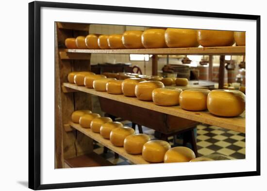 Dutch Cheese, Zaanse Schans, Zaandam Near Amsterdam, Holland (The Netherlands)-Gary Cook-Framed Photographic Print