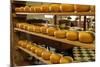 Dutch Cheese, Zaanse Schans, Zaandam Near Amsterdam, Holland (The Netherlands)-Gary Cook-Mounted Photographic Print