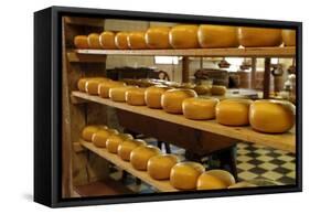 Dutch Cheese, Zaanse Schans, Zaandam Near Amsterdam, Holland (The Netherlands)-Gary Cook-Framed Stretched Canvas