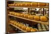 Dutch Cheese, Zaanse Schans, Zaandam Near Amsterdam, Holland (The Netherlands)-Gary Cook-Mounted Premium Photographic Print