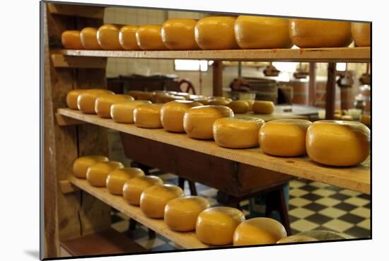 Dutch Cheese, Zaanse Schans, Zaandam Near Amsterdam, Holland (The Netherlands)-Gary Cook-Mounted Photographic Print