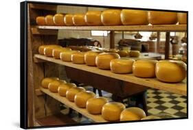 Dutch Cheese, Zaanse Schans, Zaandam Near Amsterdam, Holland (The Netherlands)-Gary Cook-Framed Stretched Canvas