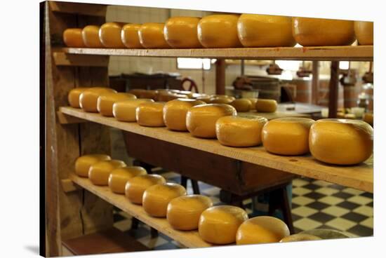 Dutch Cheese, Zaanse Schans, Zaandam Near Amsterdam, Holland (The Netherlands)-Gary Cook-Stretched Canvas