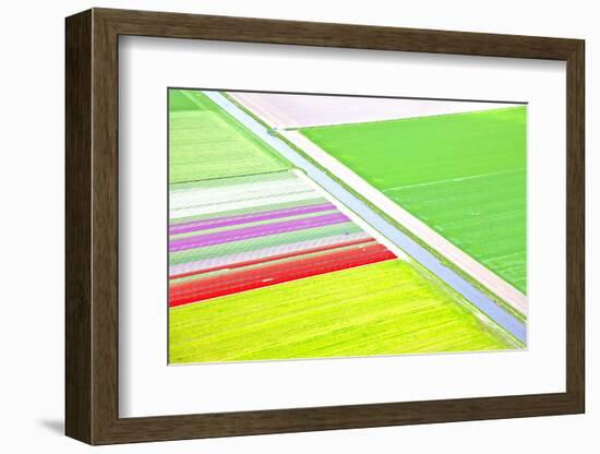Dutch Colourful Flower Field from Above-gigra-Framed Photographic Print