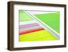 Dutch Colourful Flower Field from Above-gigra-Framed Photographic Print