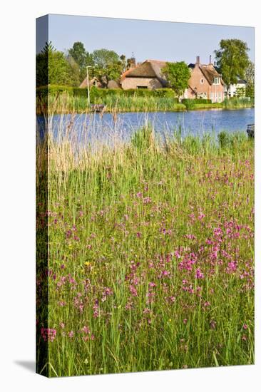 Dutch Country Landscape with Farm in Spring-Colette2-Stretched Canvas