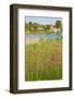 Dutch Country Landscape with Farm in Spring-Colette2-Framed Photographic Print