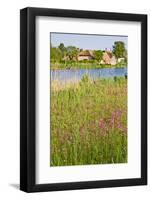 Dutch Country Landscape with Farm in Spring-Colette2-Framed Photographic Print