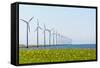 Dutch Energy Windmills-Twin design-Framed Stretched Canvas