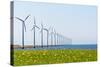 Dutch Energy Windmills-Twin design-Stretched Canvas