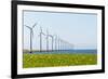 Dutch Energy Windmills-Twin design-Framed Photographic Print