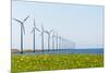 Dutch Energy Windmills-Twin design-Mounted Photographic Print