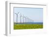 Dutch Energy Windmills-Twin design-Framed Photographic Print