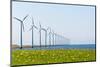 Dutch Energy Windmills-Twin design-Mounted Photographic Print